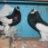 truong_q4