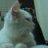 my.meo.511