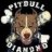 PITBULLS_DIAMOND_HP