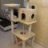 Cat Tree Vietnam