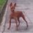 Love Minpin !