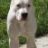 hachi1510