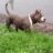 Mr.TuTi