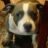 Luna*Bully