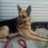 betty_boy82