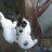 poohteddy_189