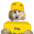 bellxinhdep